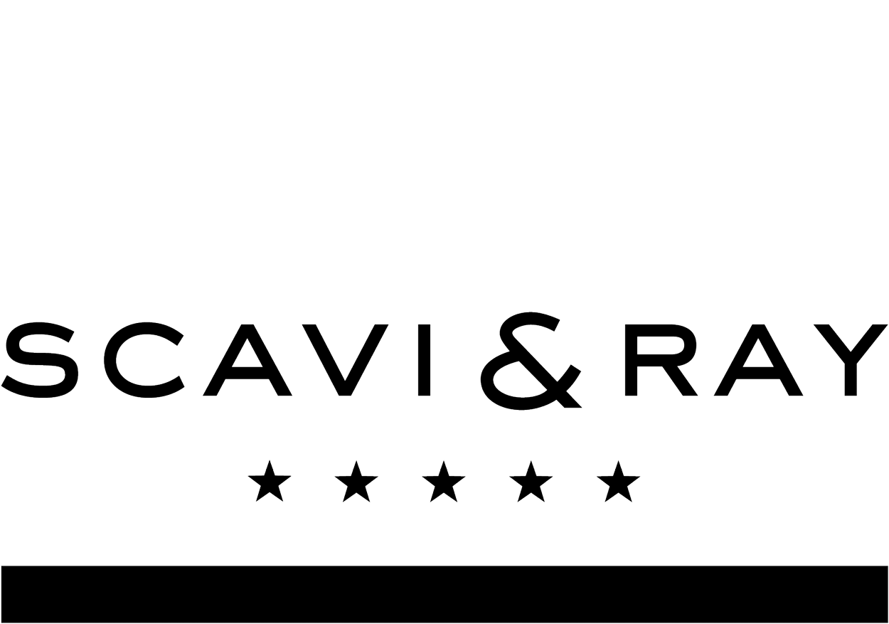Logo SCAVI & RAY