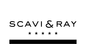 scavi-ray logo
