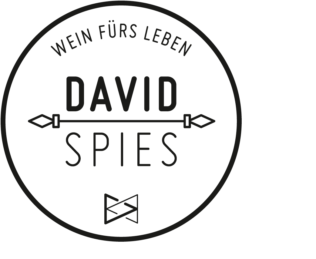 Logo David Spies